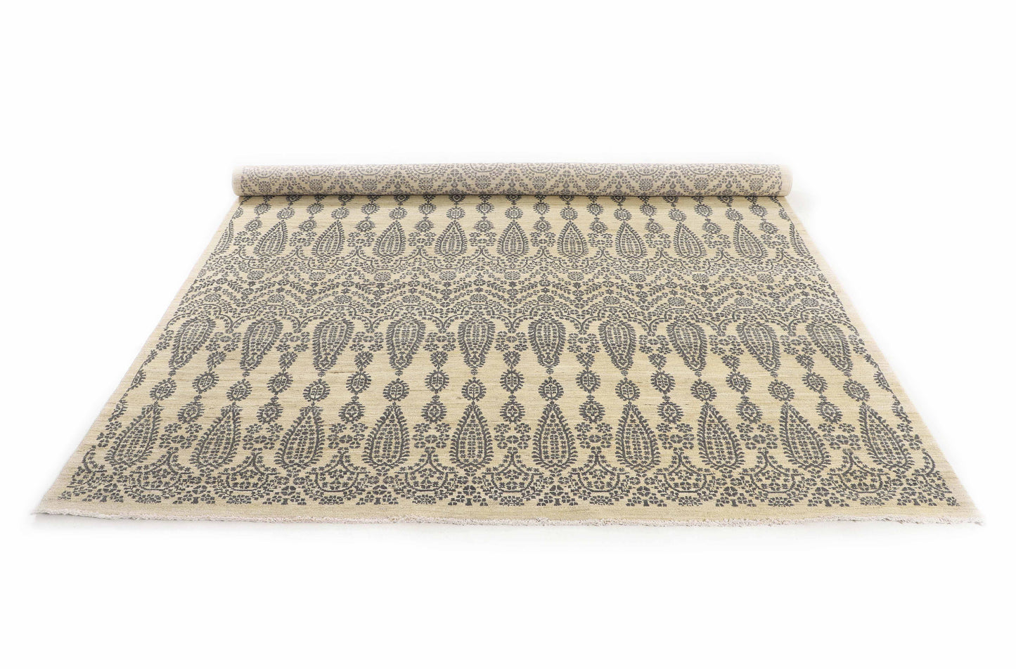 TRANSITIONAL-D55042