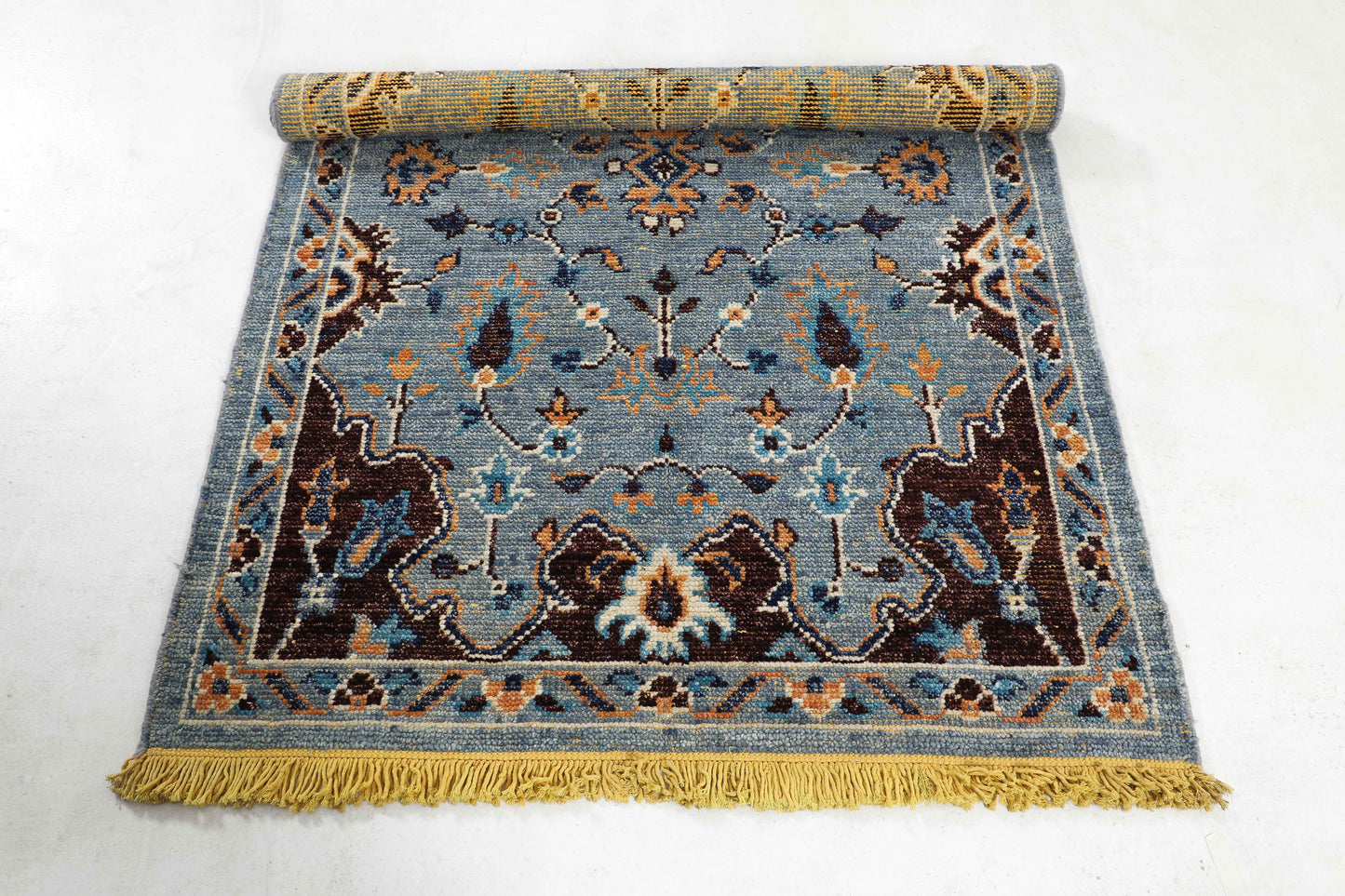 TRANSITIONAL-D55163