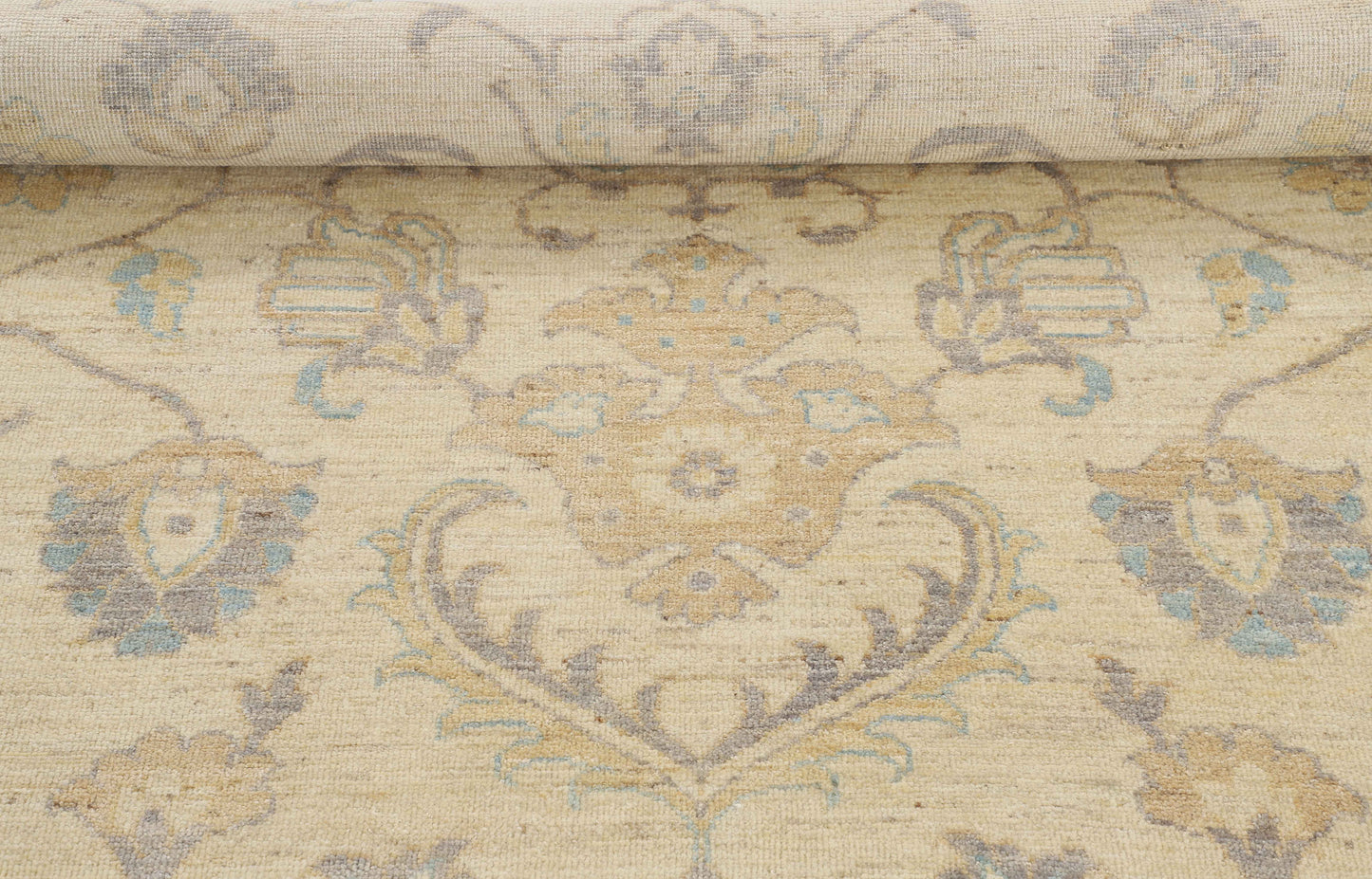TRANSITIONAL-D53677