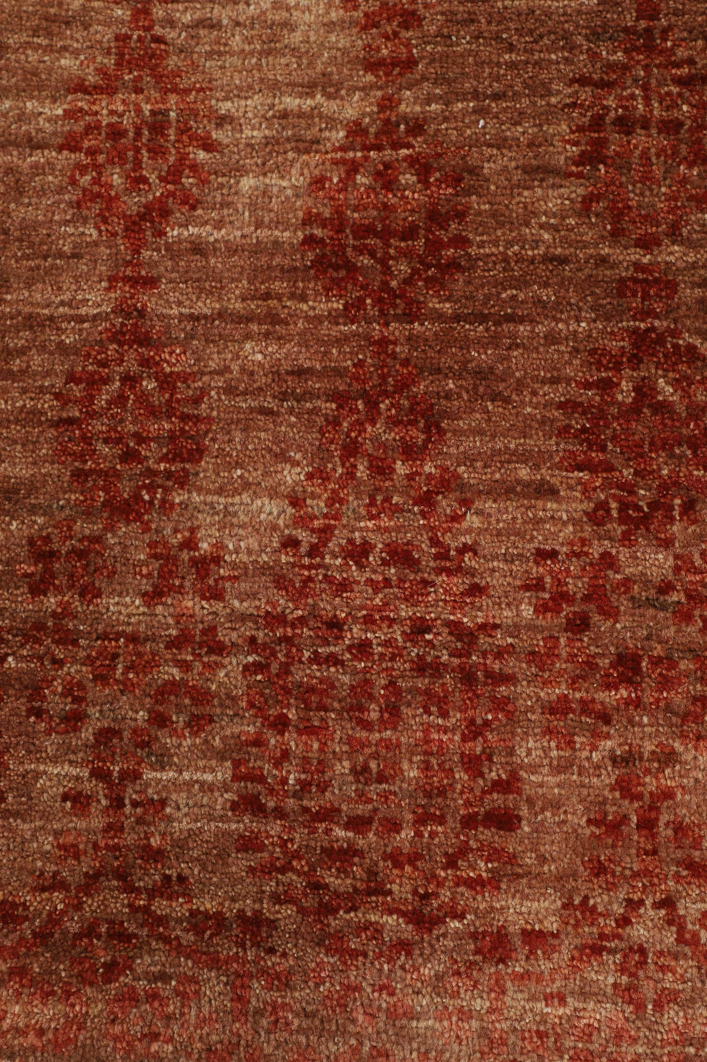 TRANISTIONAL-D57045