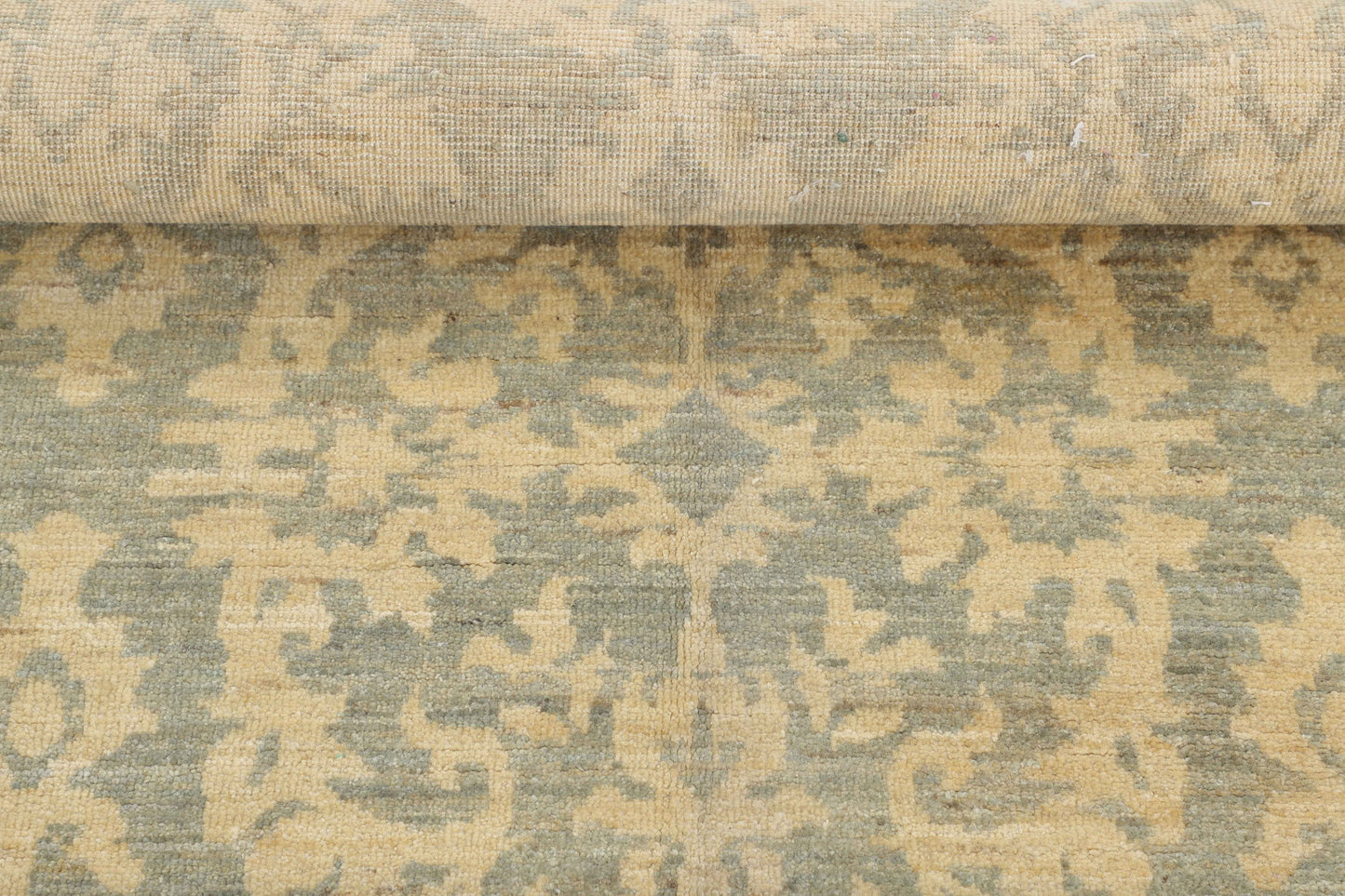 TRANSITIONAL-D57309