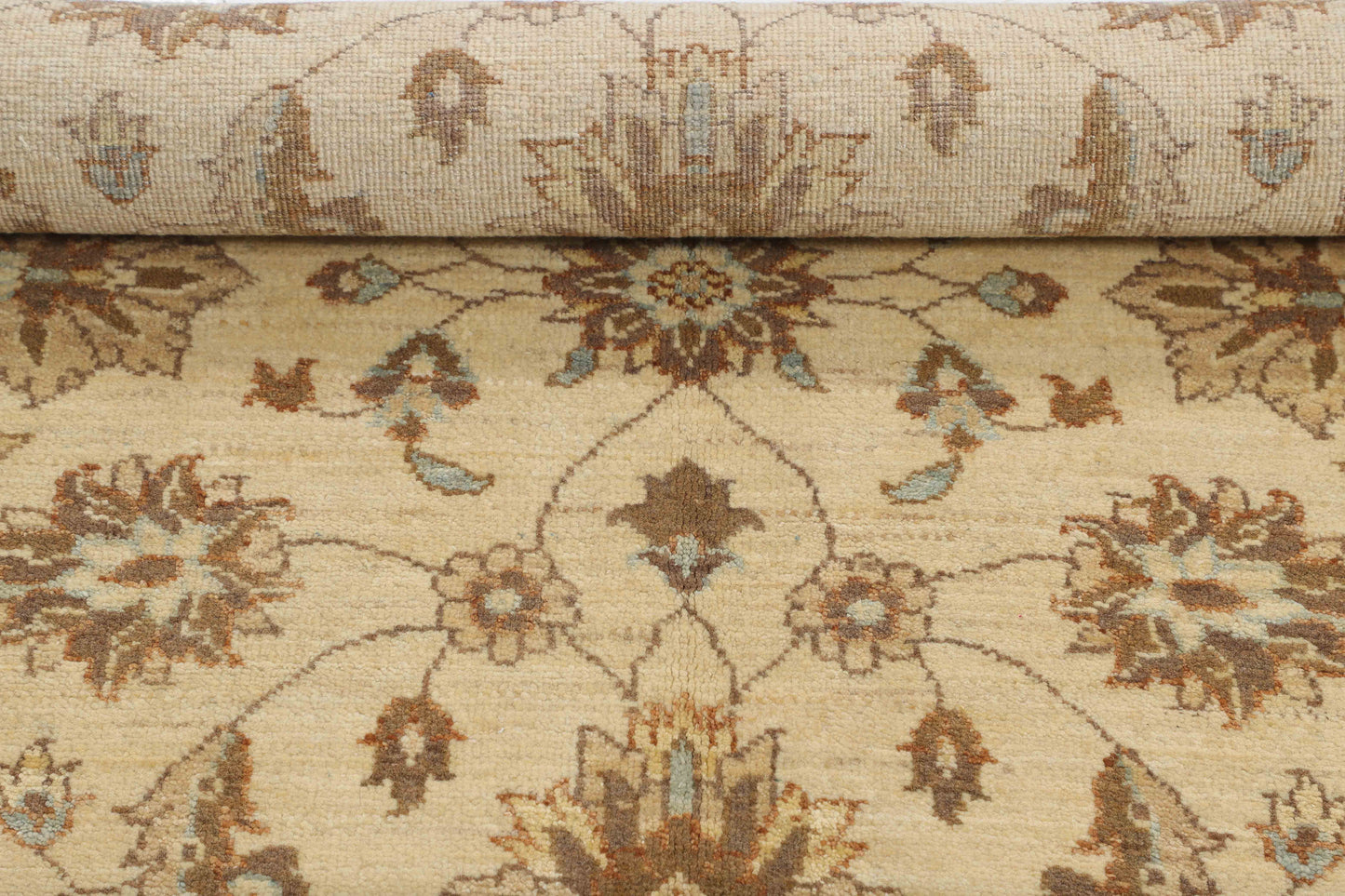 TRANSITIONAL-D48097