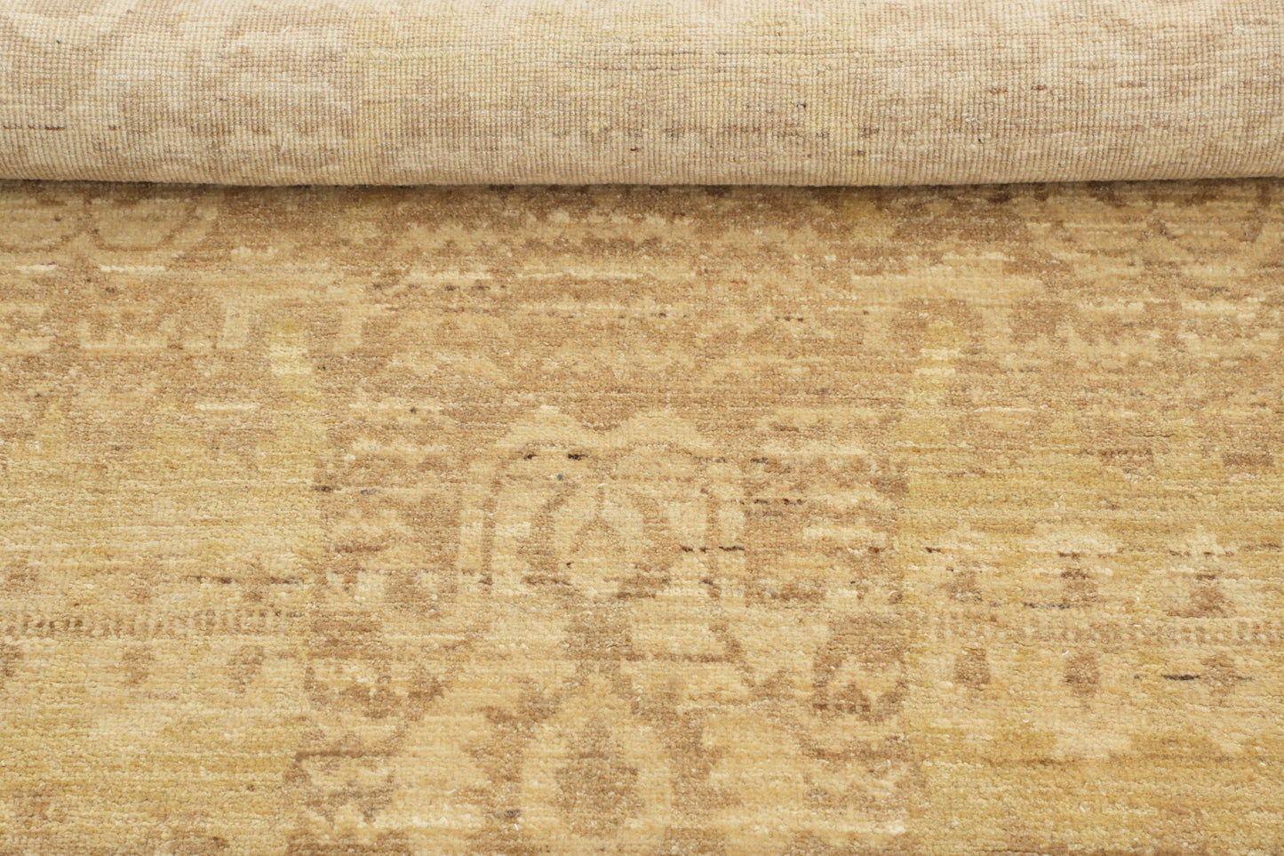 TRANSITIONAL-D48923