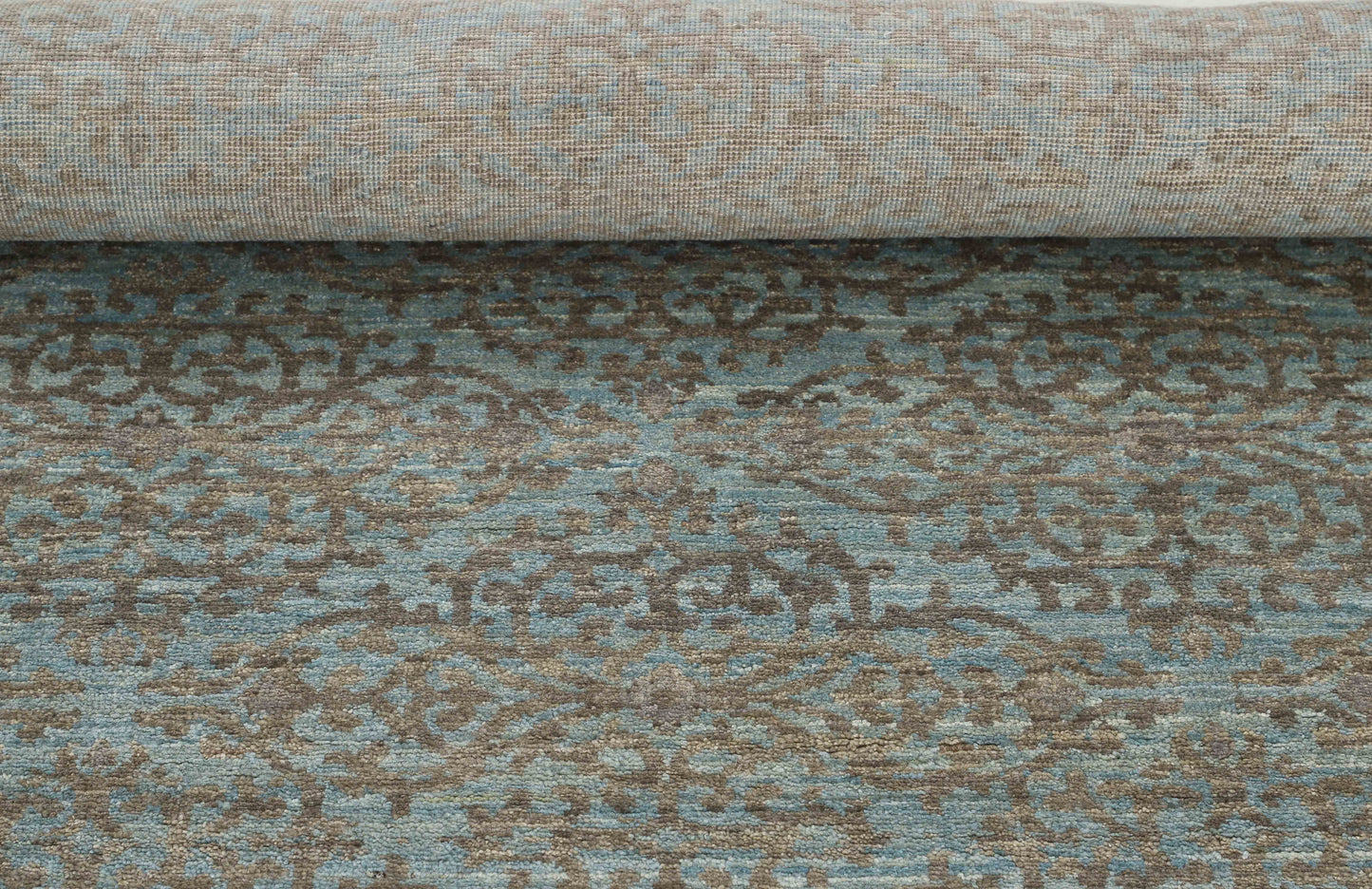 TRANSITIONAL-D56254