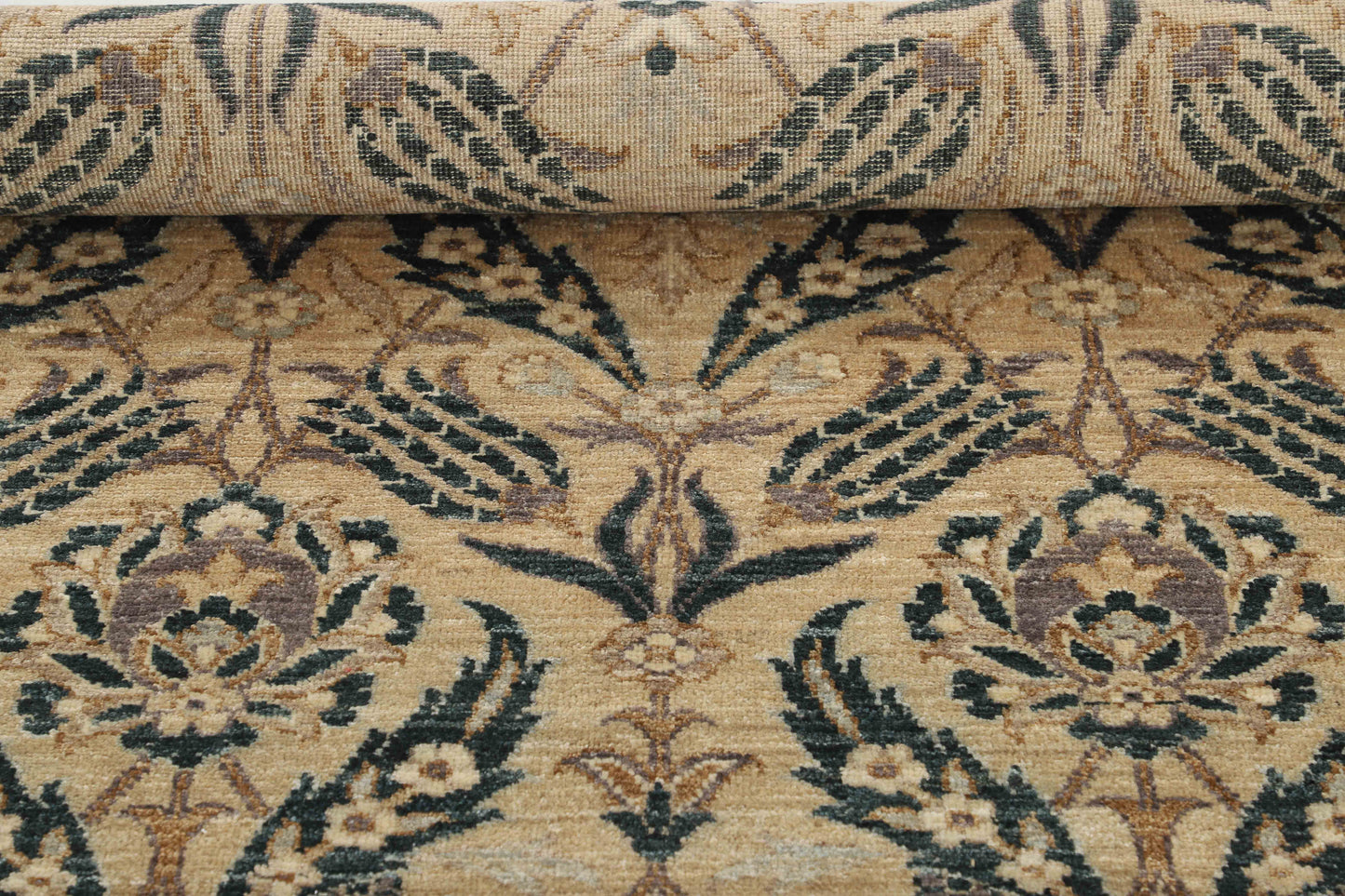TRANSITIONAL-D56085