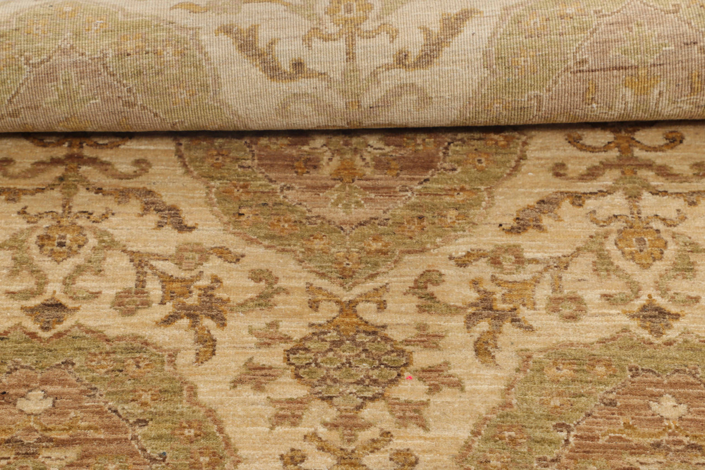 TRANSITIONAL-D41126
