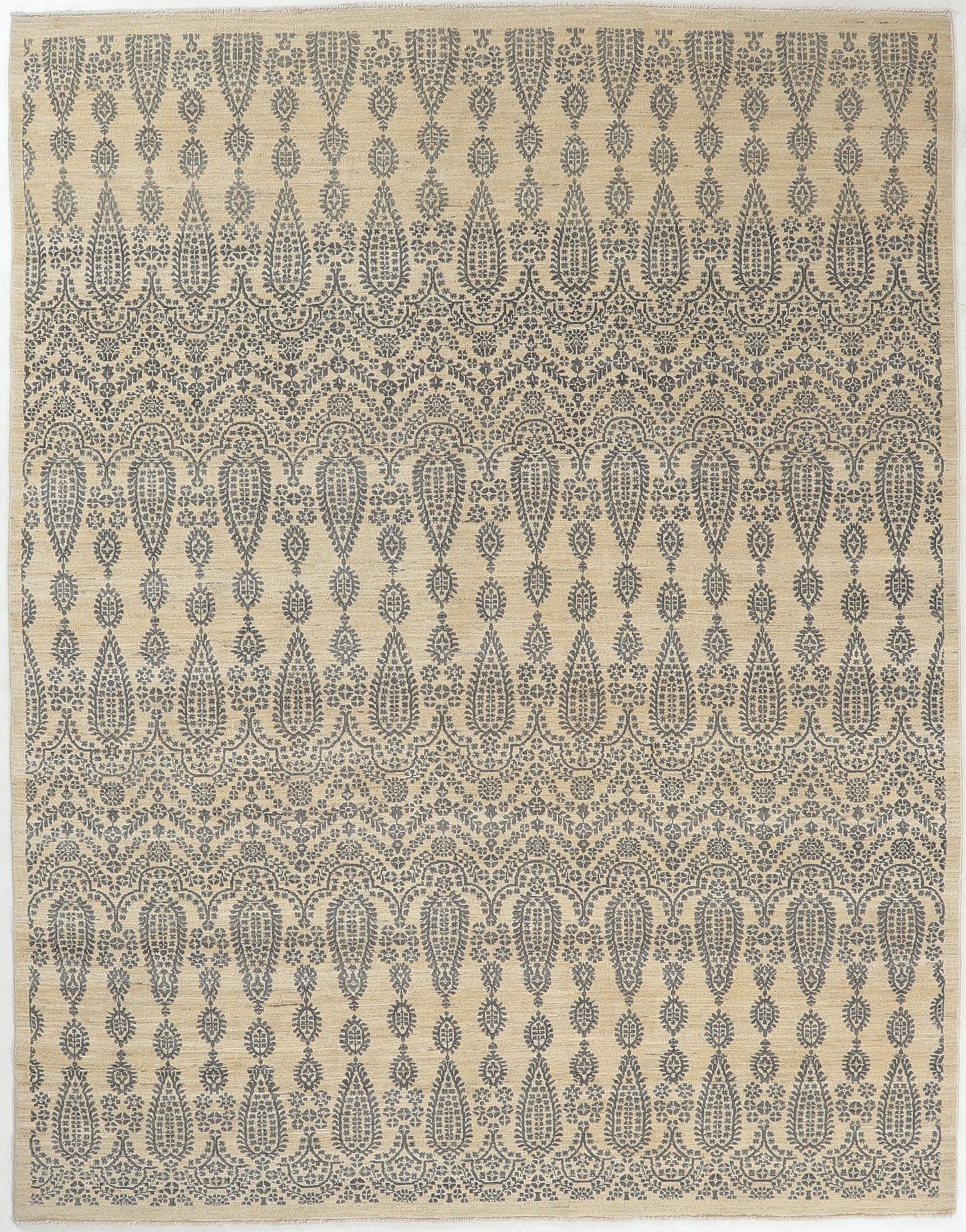 TRANSITIONAL-D48663