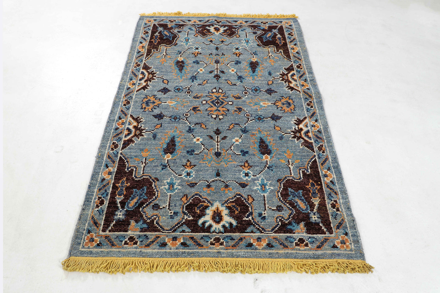 TRANSITIONAL-D55163