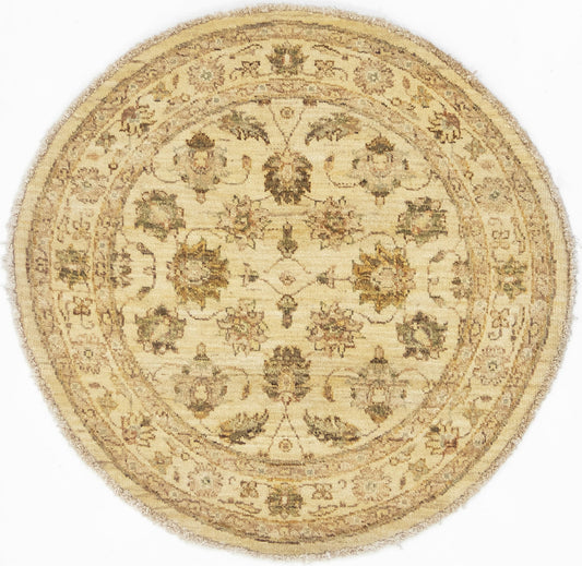 TRANSITIONAL- D50074