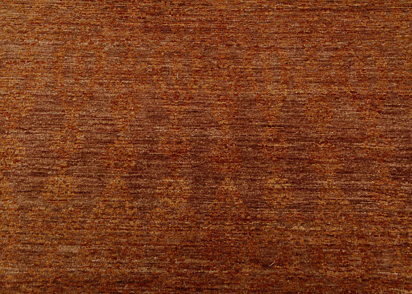 TRANSITIONAL-D52314