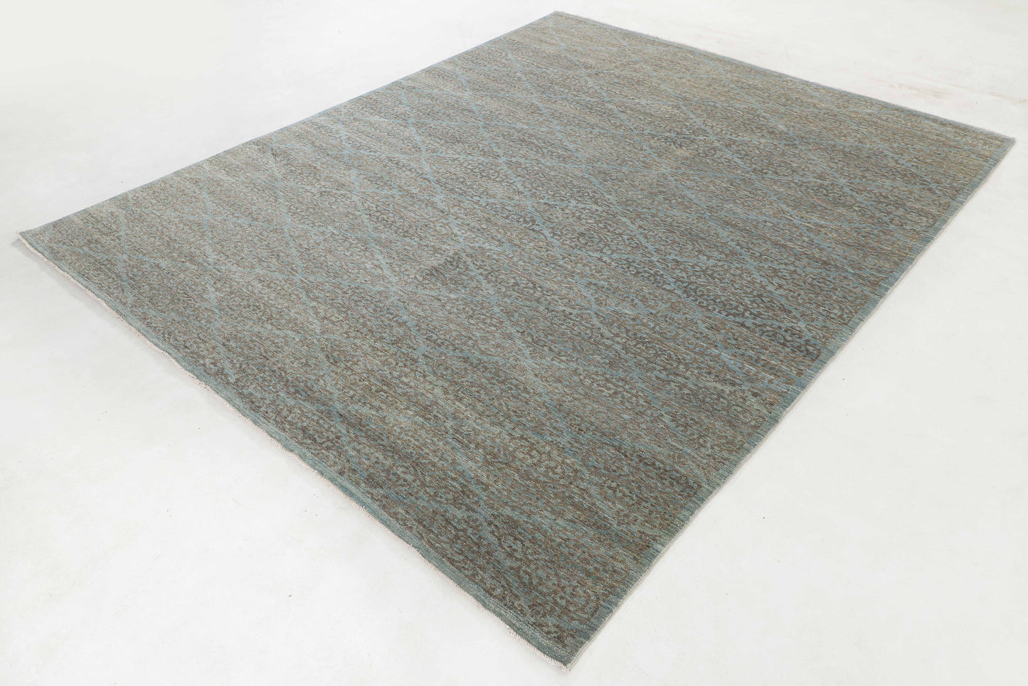 TRANSITIONAL-D56254