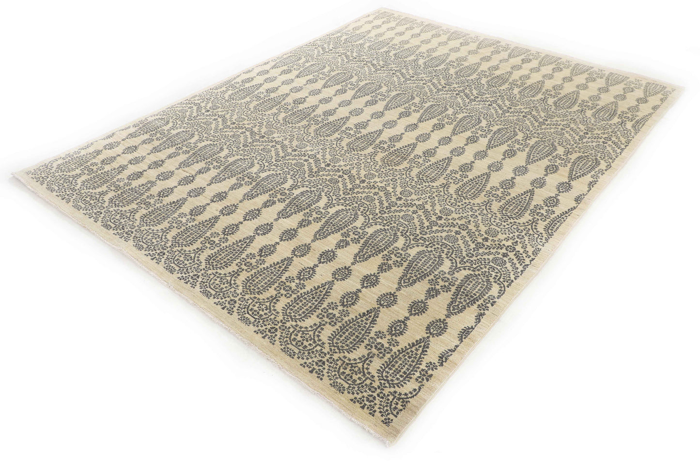 TRANSITIONAL-D55042