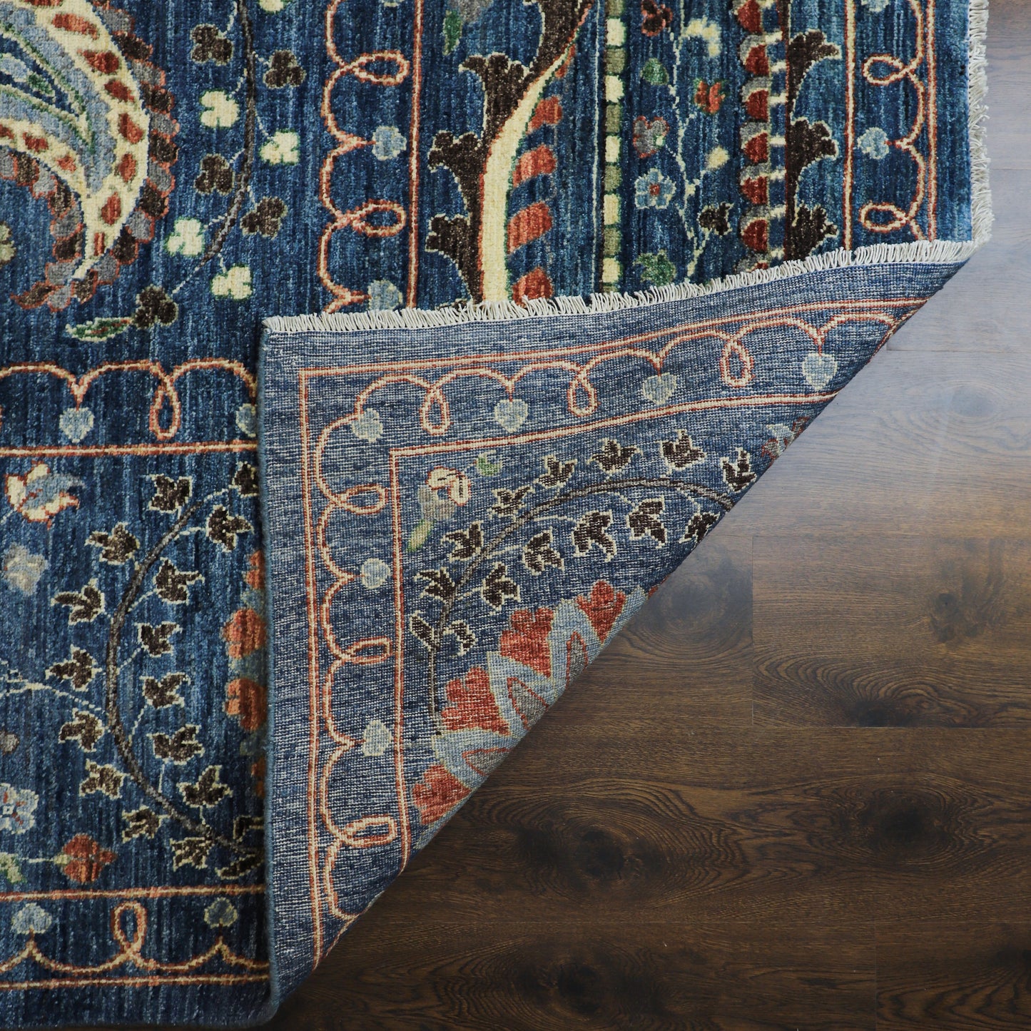 TRANSITIONAL-D57324