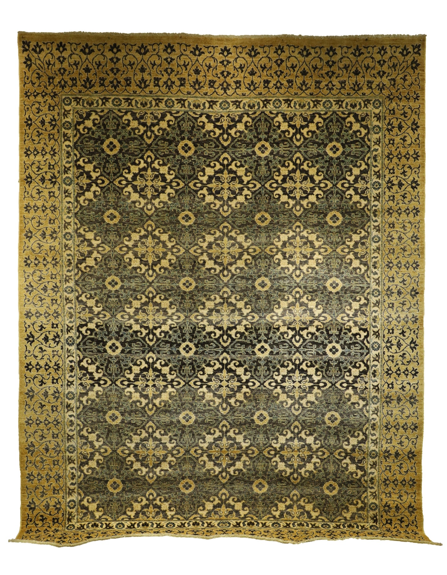 TRANSITIONAL-D57376