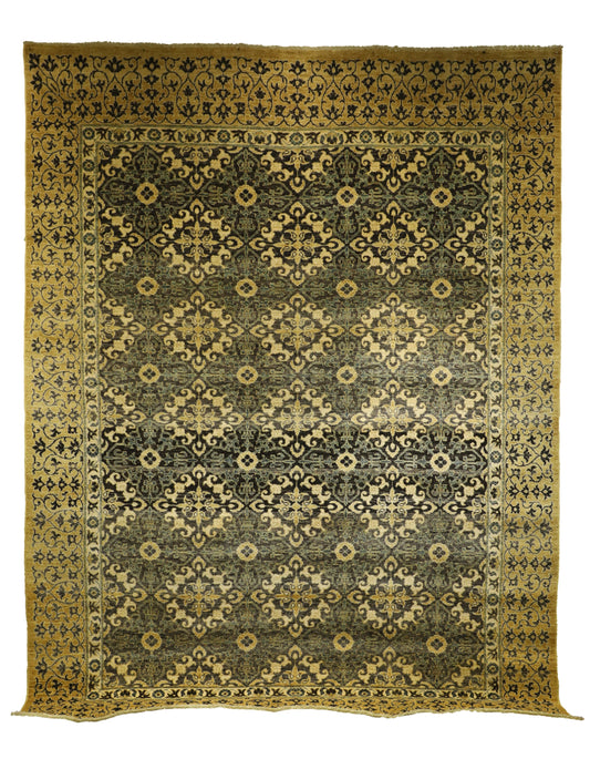 TRANSITIONAL-D55538