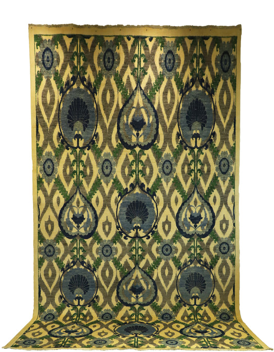 TRANSITIONAL-D56775