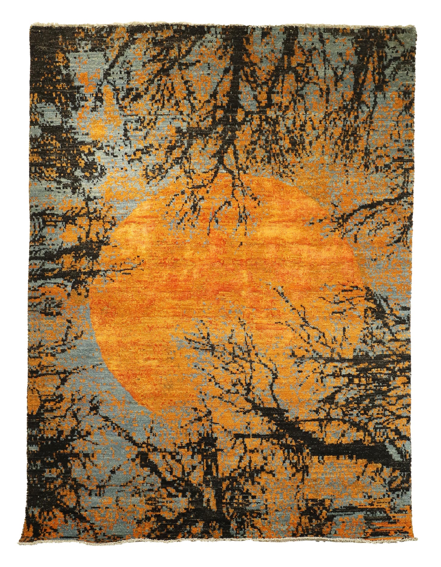 TRANSITIONAL-D57070
