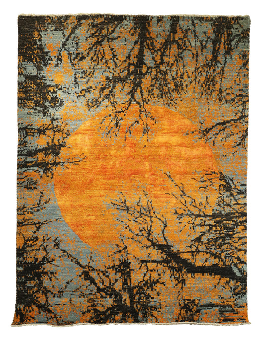 TRANSITIONAL-D57070