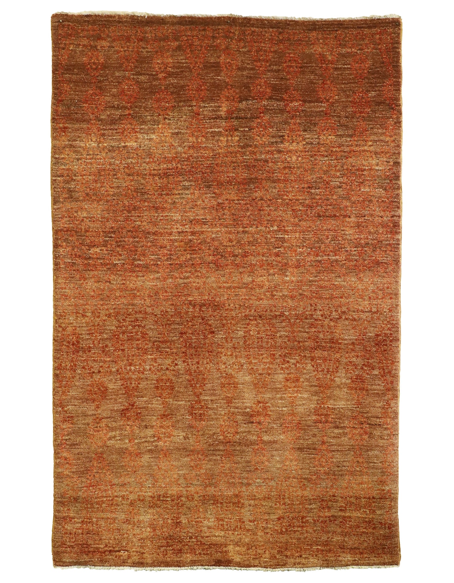 TRANSITIONAL-D57107