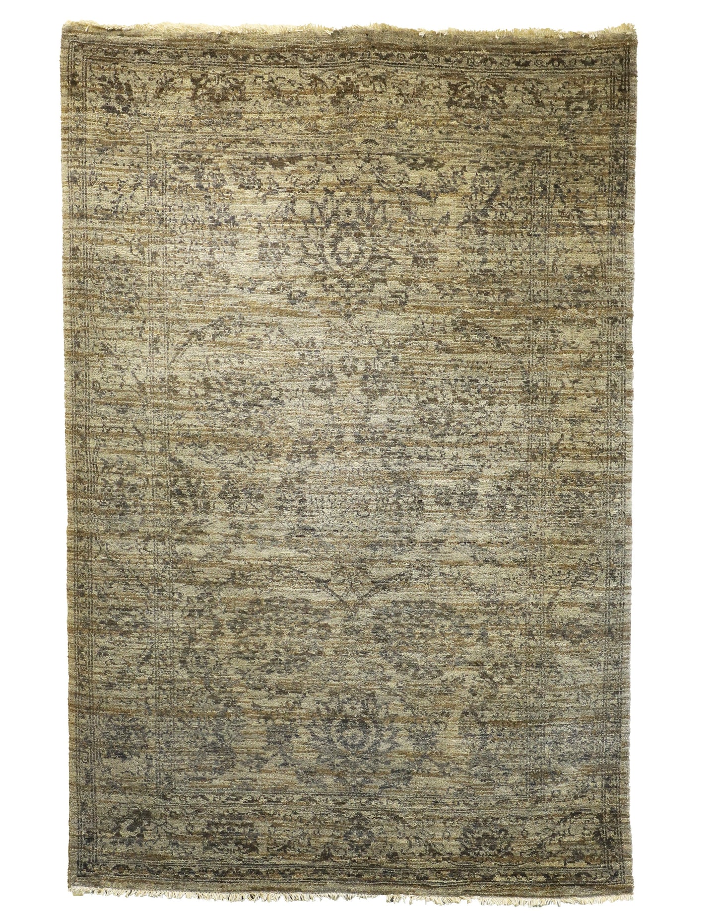 TRANSITIONAL-D57318