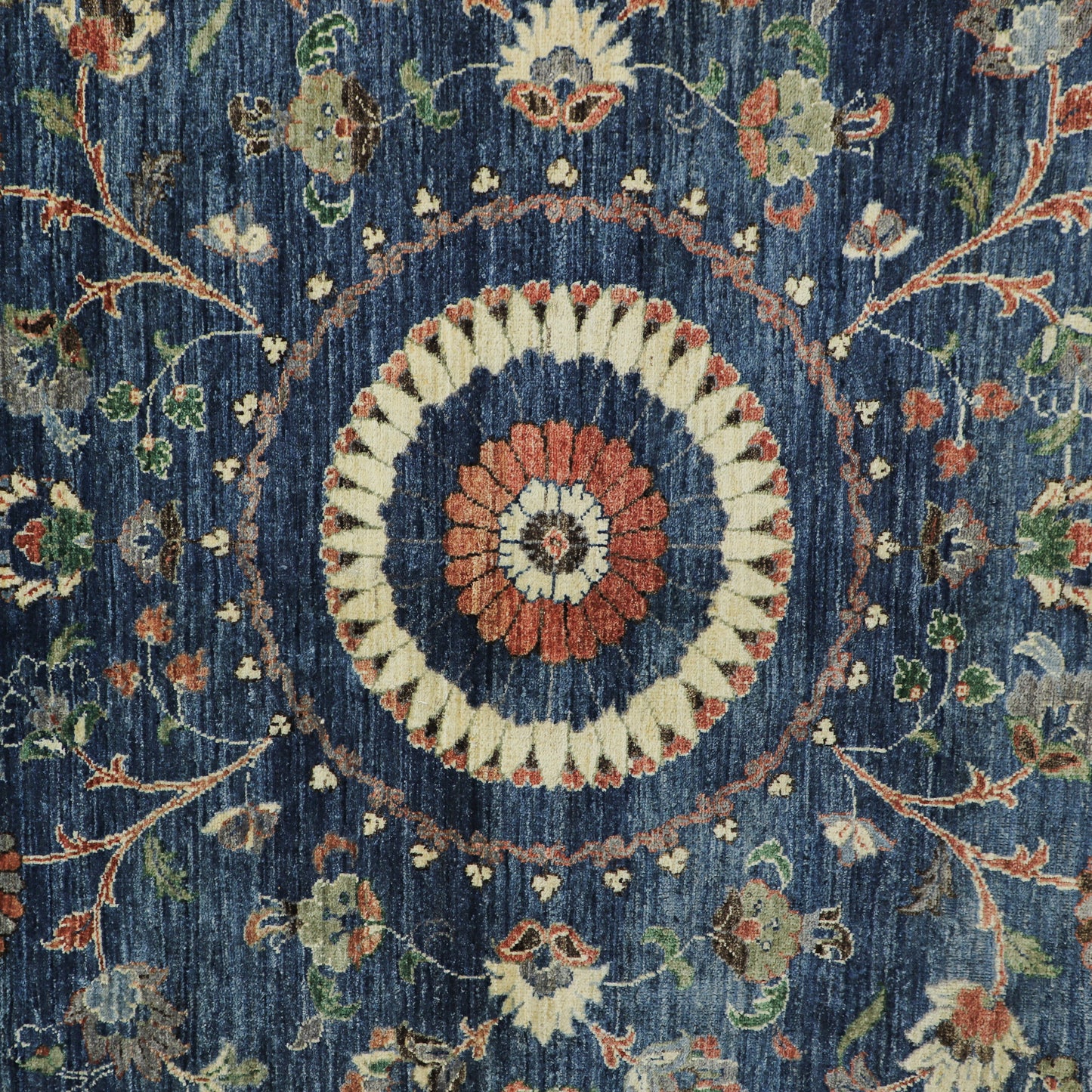 TRANSITIONAL-D57324