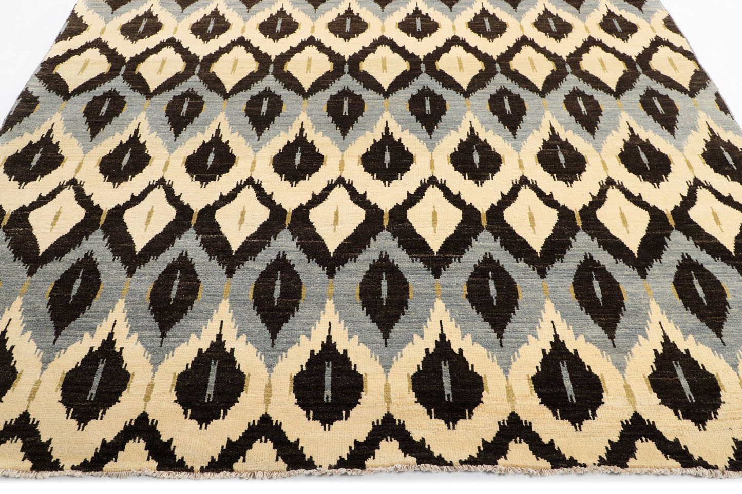 TRANSITIONAL-D41351