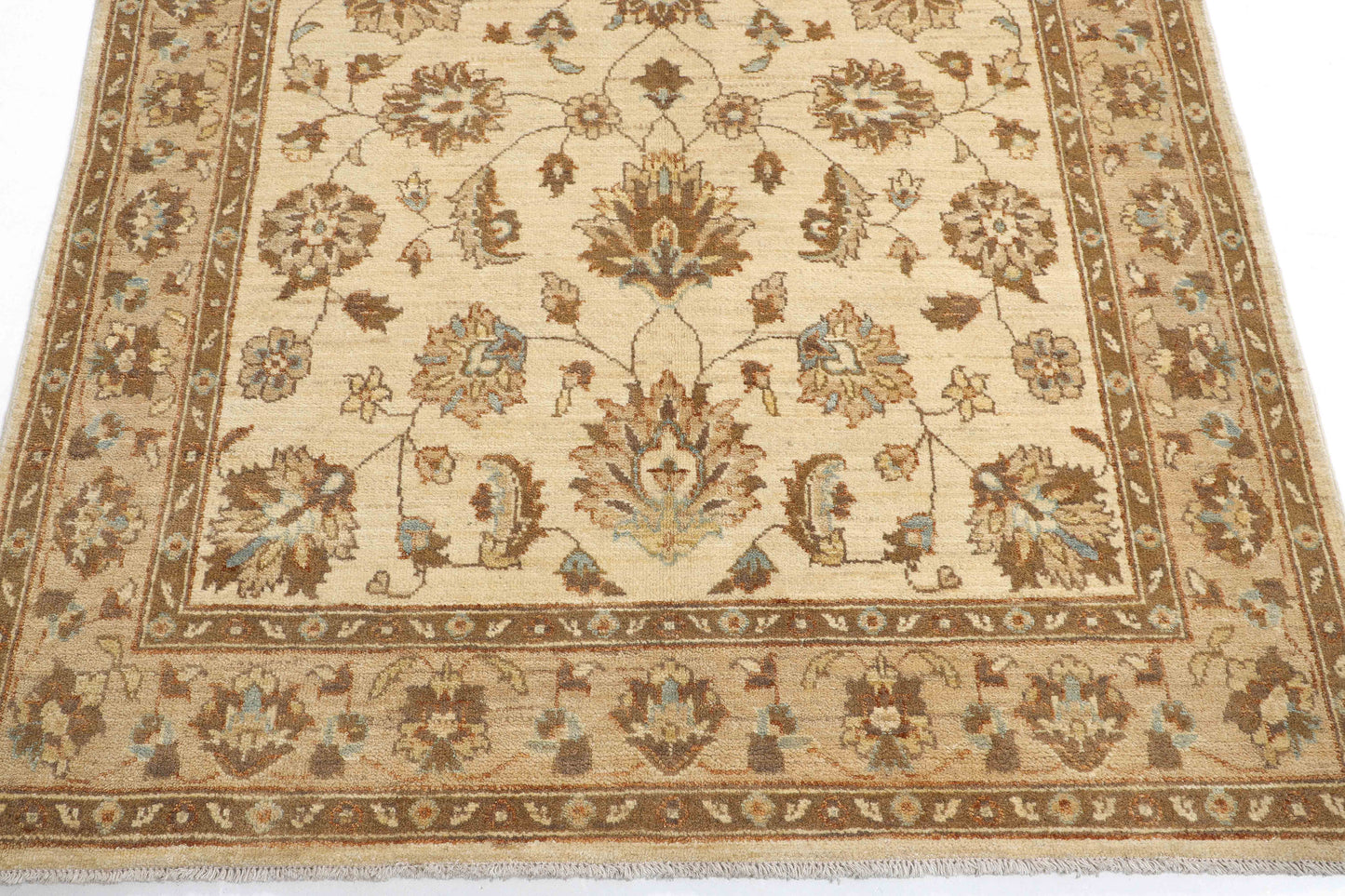 TRANSITIONAL-D48097