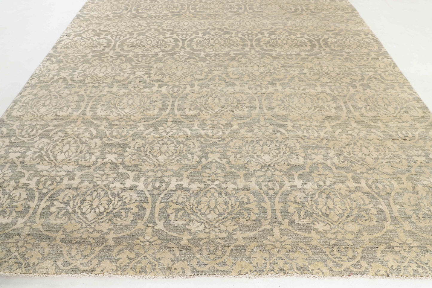 TRANSITIONAL-D51619