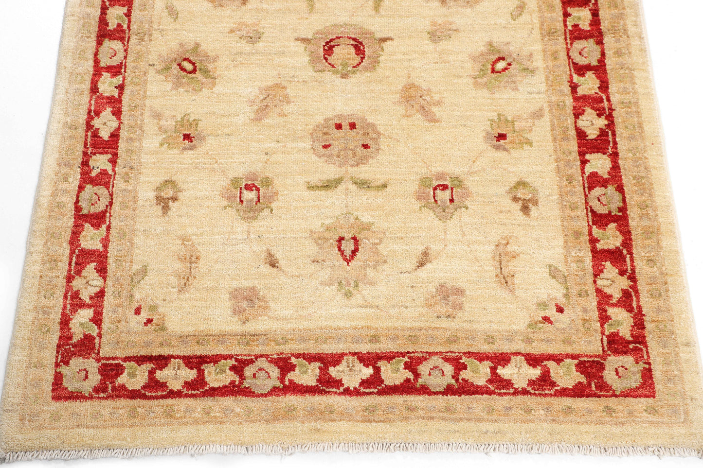 TRANSITIONAL-D43596