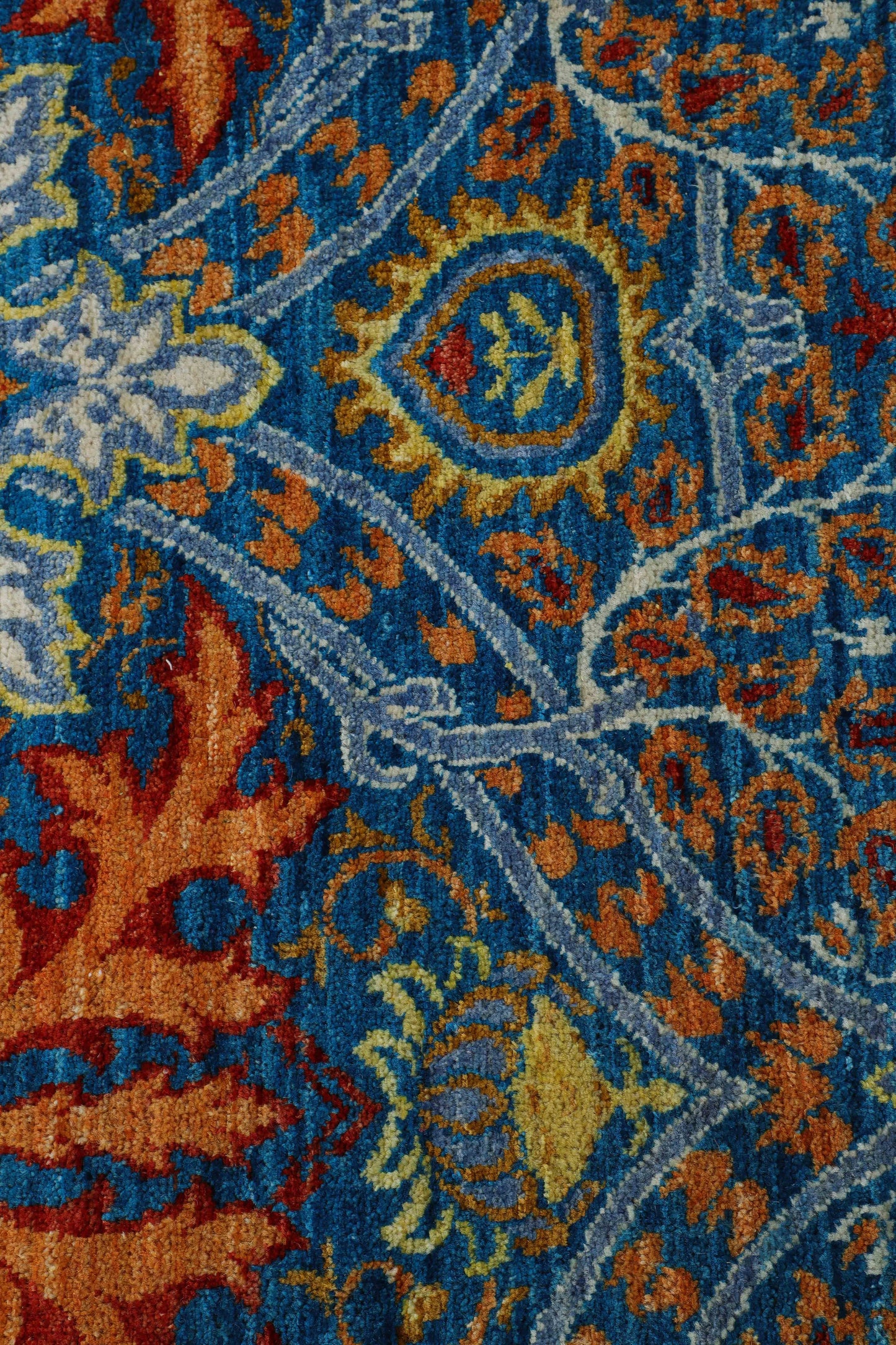TRANSITIONAL-D56738