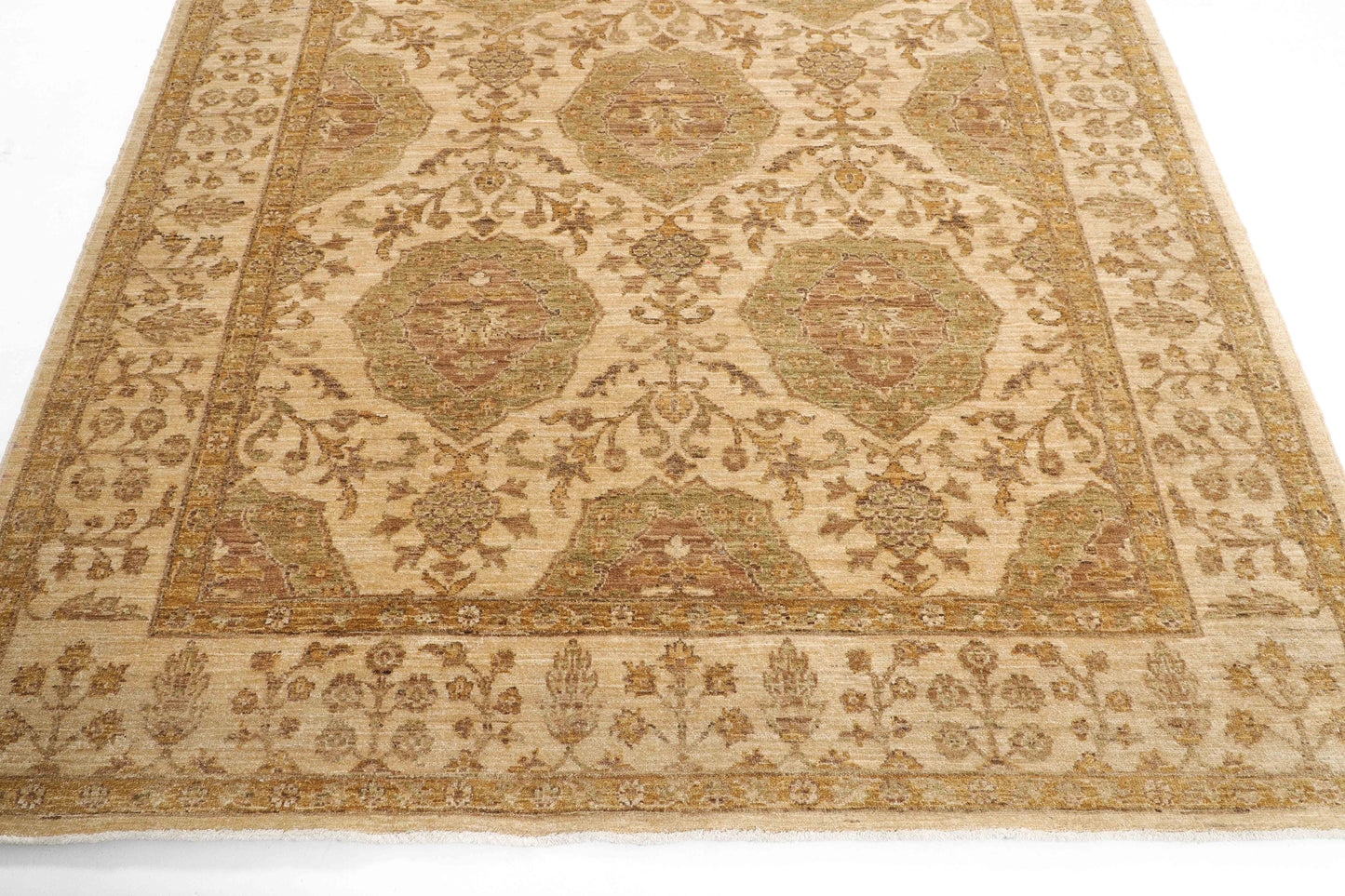 TRANSITIONAL-D41126