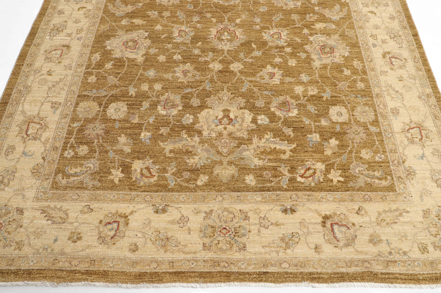 TRANSITIONAL-D46289