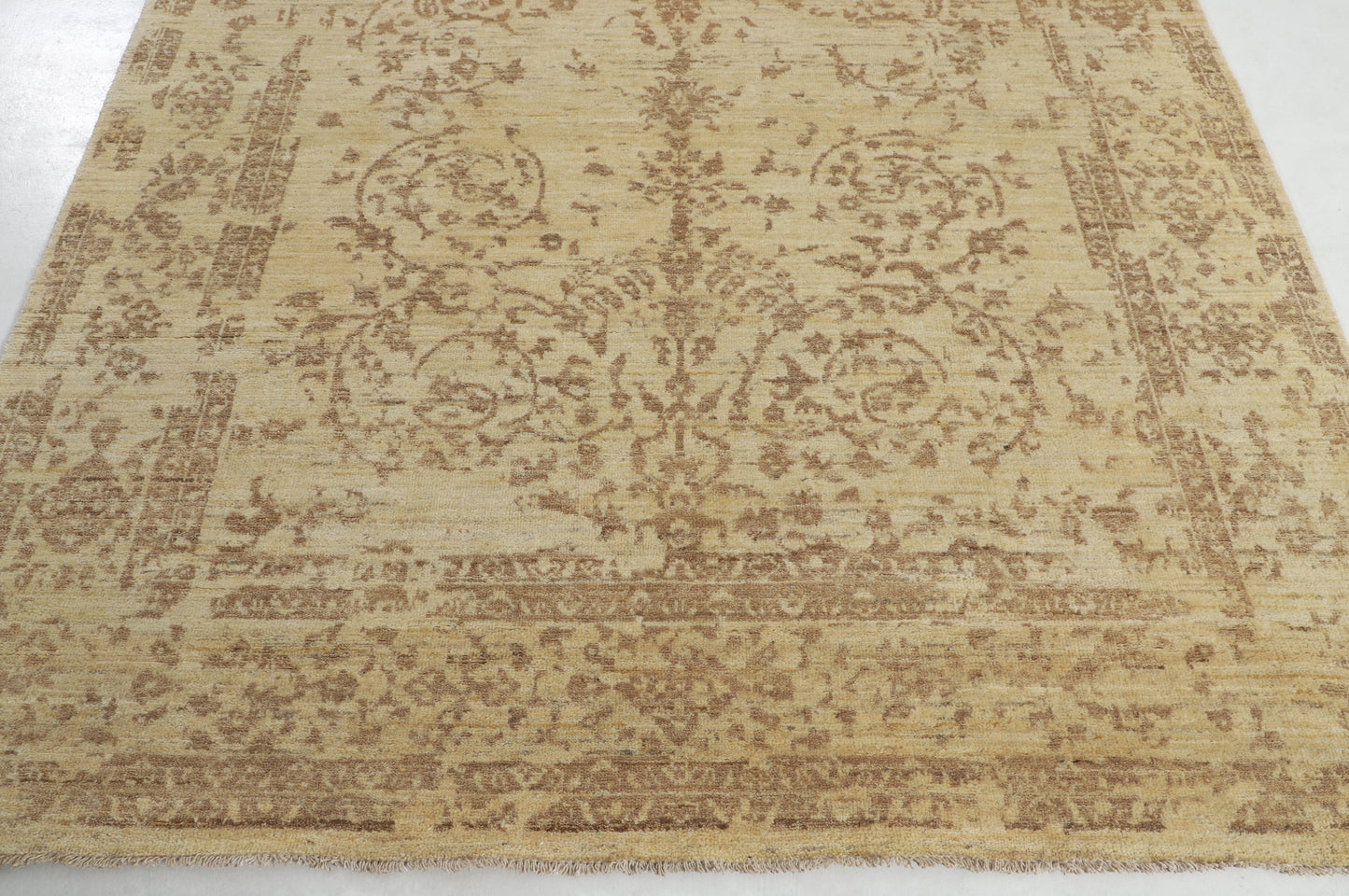 TRANSITIONAL-D57073