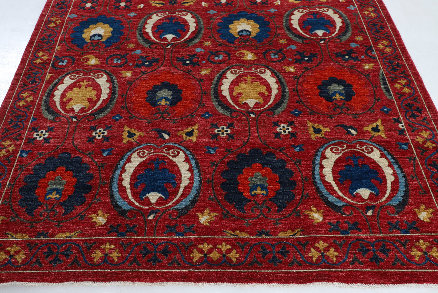 TRANSITIONAL-D56798