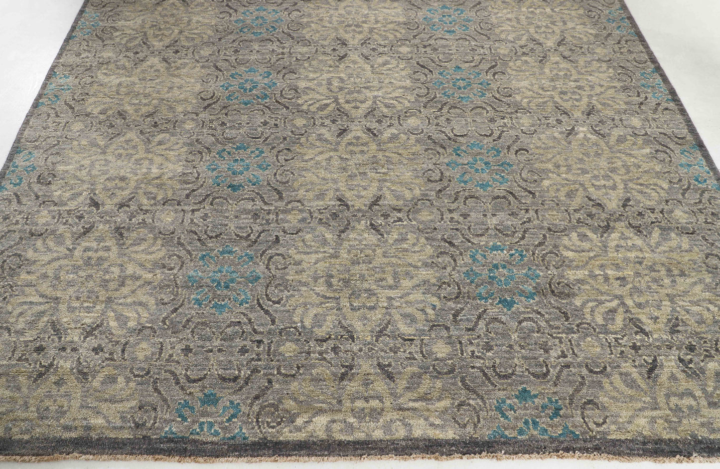TRANSITIONAL-D52116