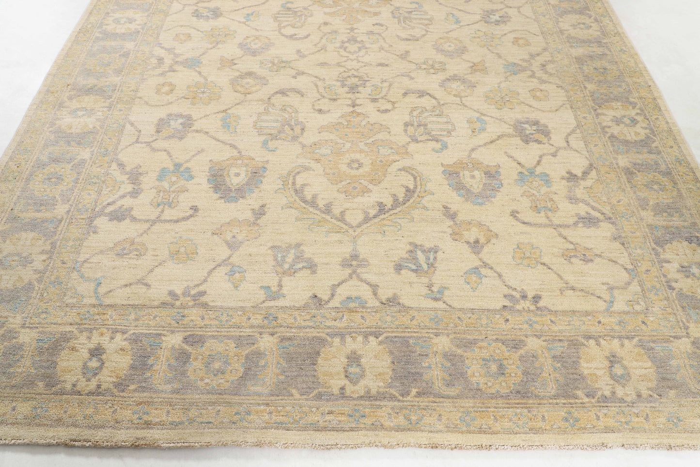 TRANSITIONAL-D53677