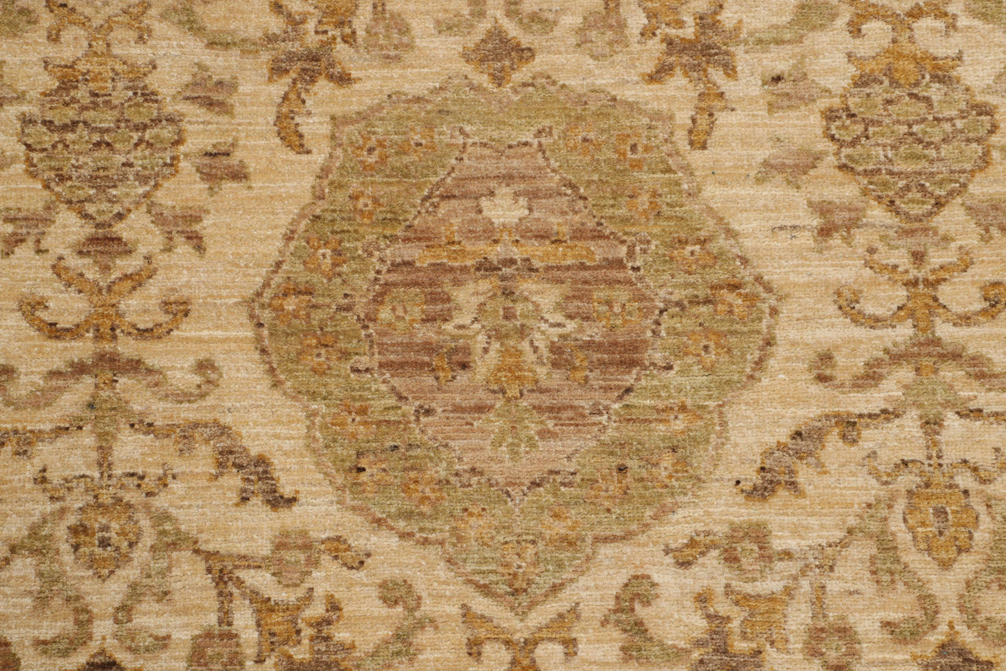 TRANSITIONAL-D41126