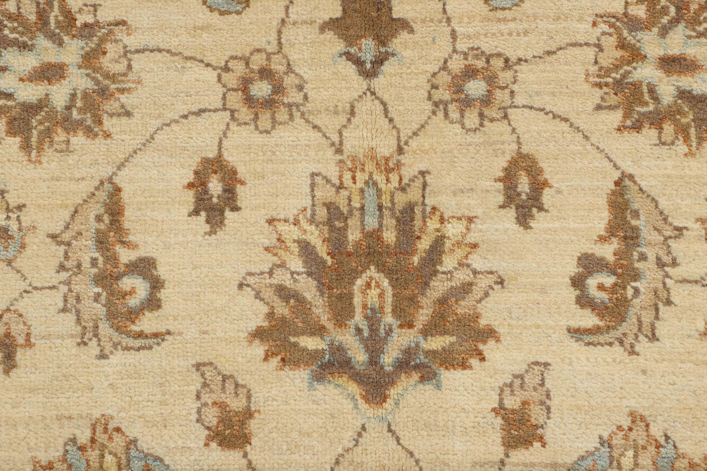 TRANSITIONAL-D48097