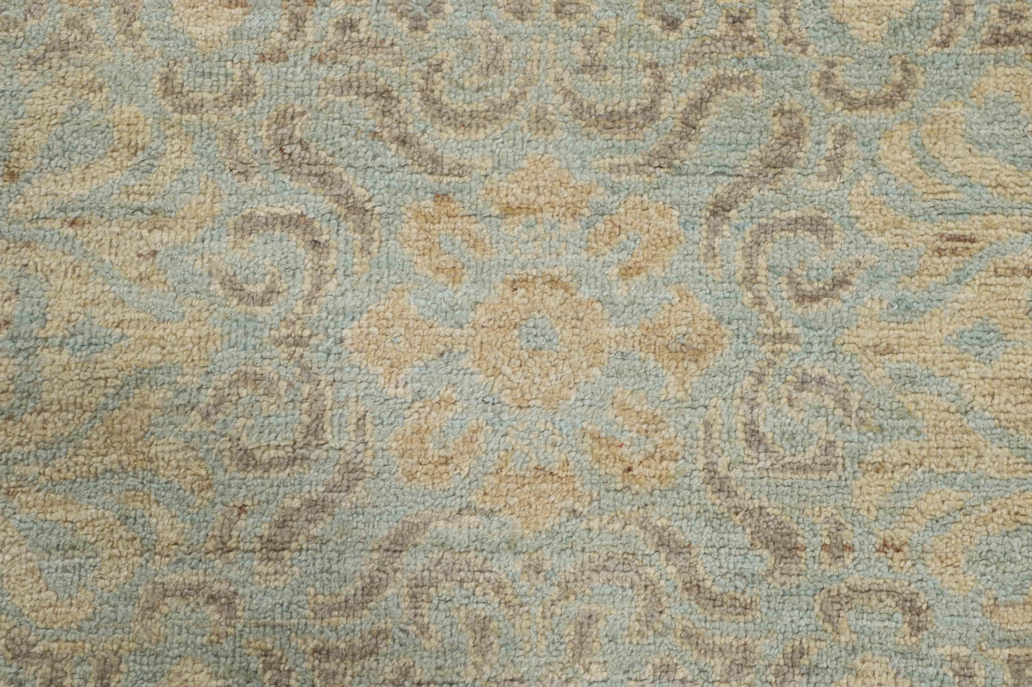 TRANSITIONAL-D51772