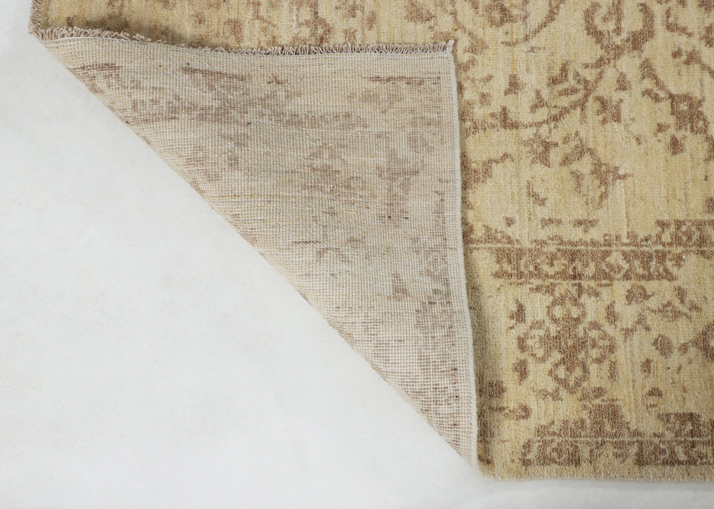 TRANSITIONAL-D57073
