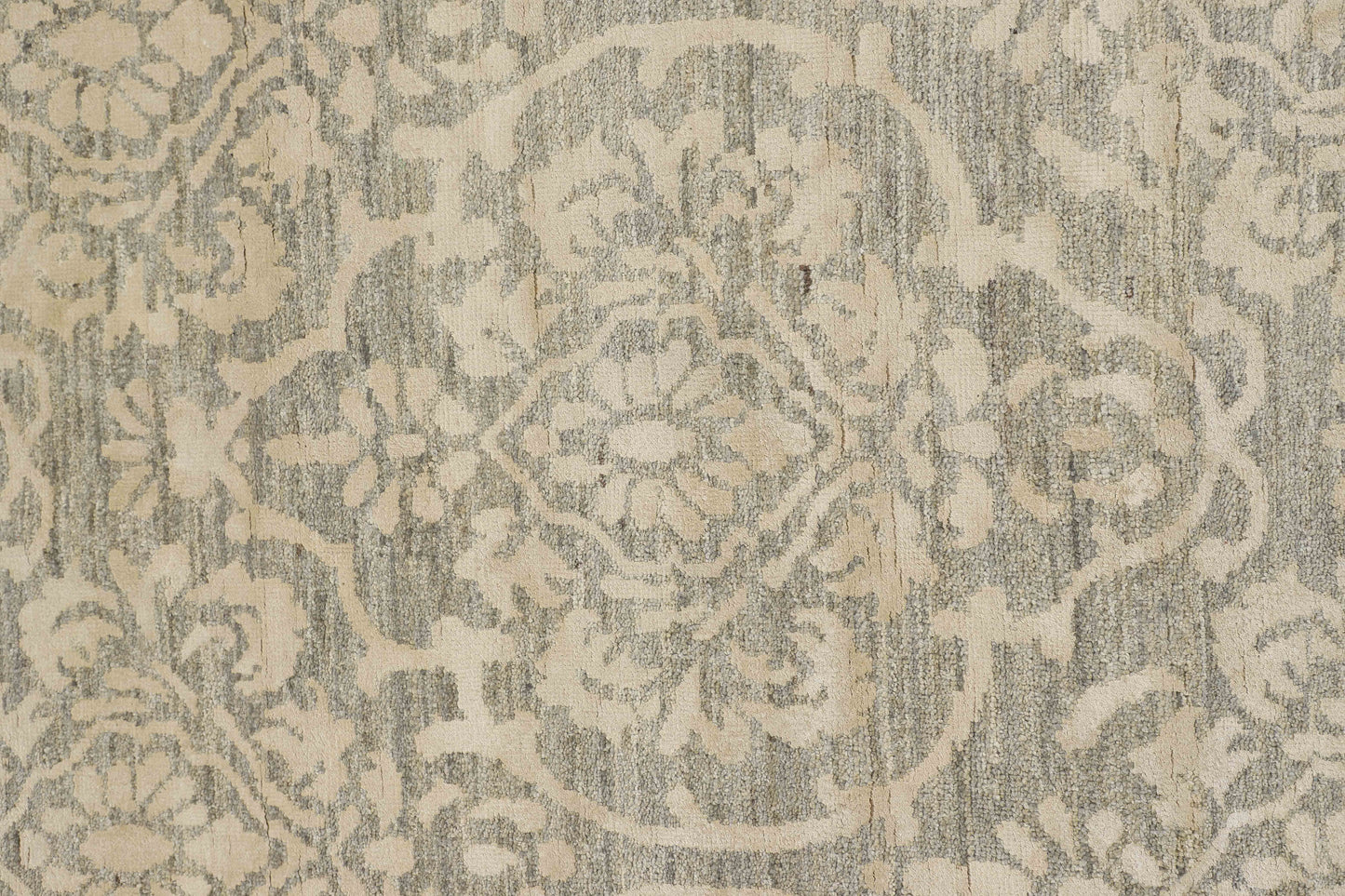 TRANSITIONAL-D51619