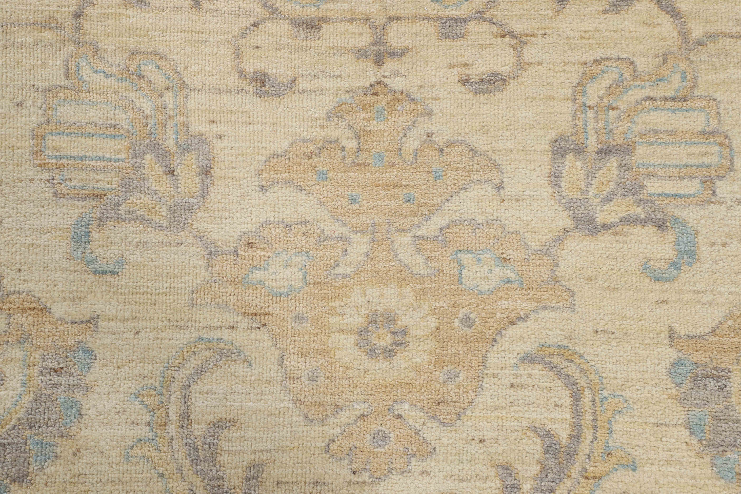 TRANSITIONAL-D53677