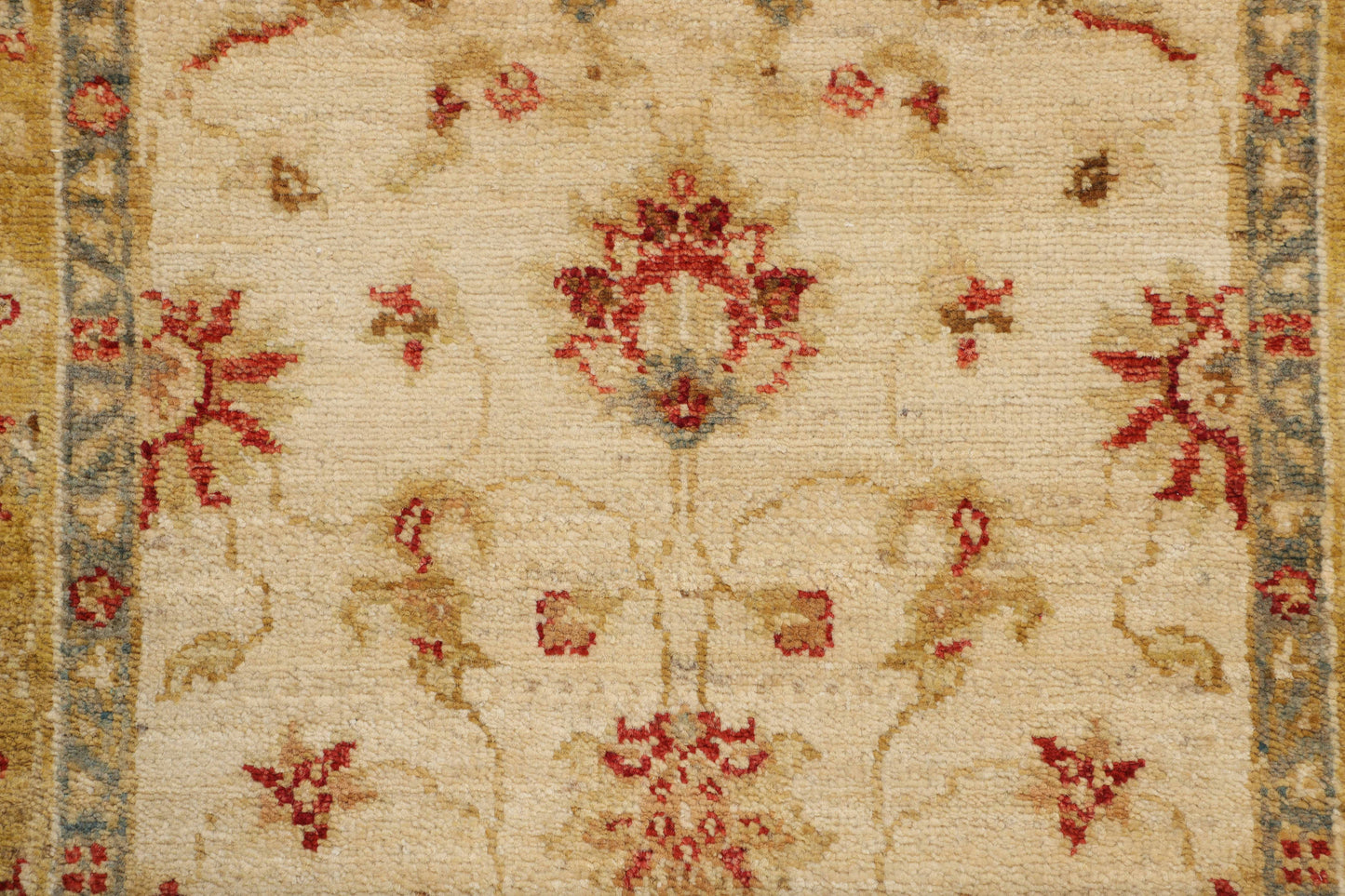 TRANISTIONAL-D40668