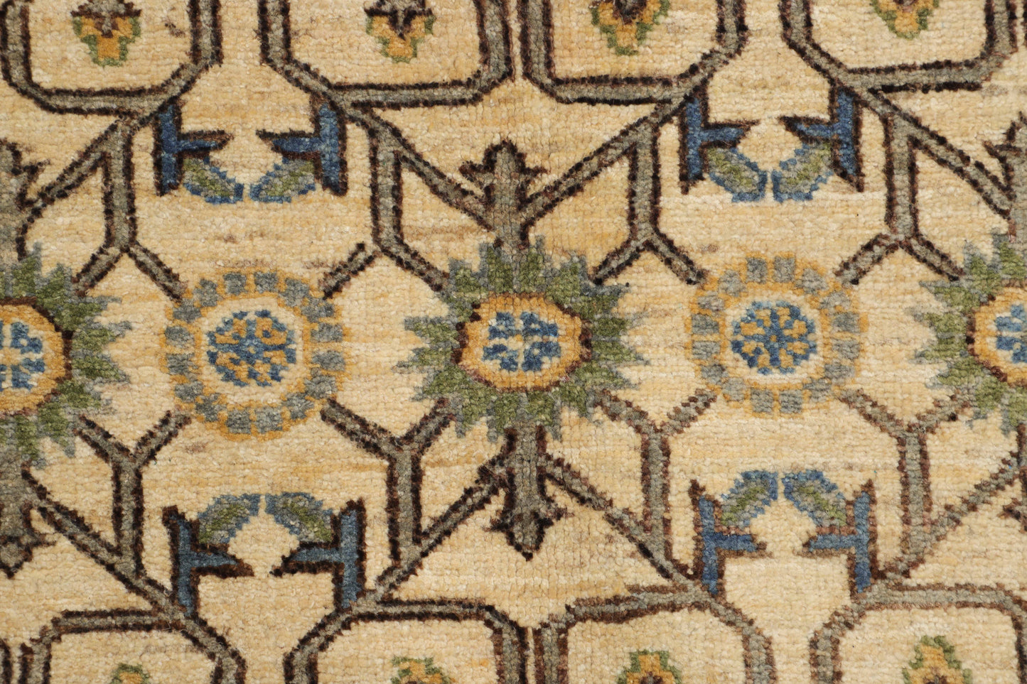 TRANSITIONAL-D57287