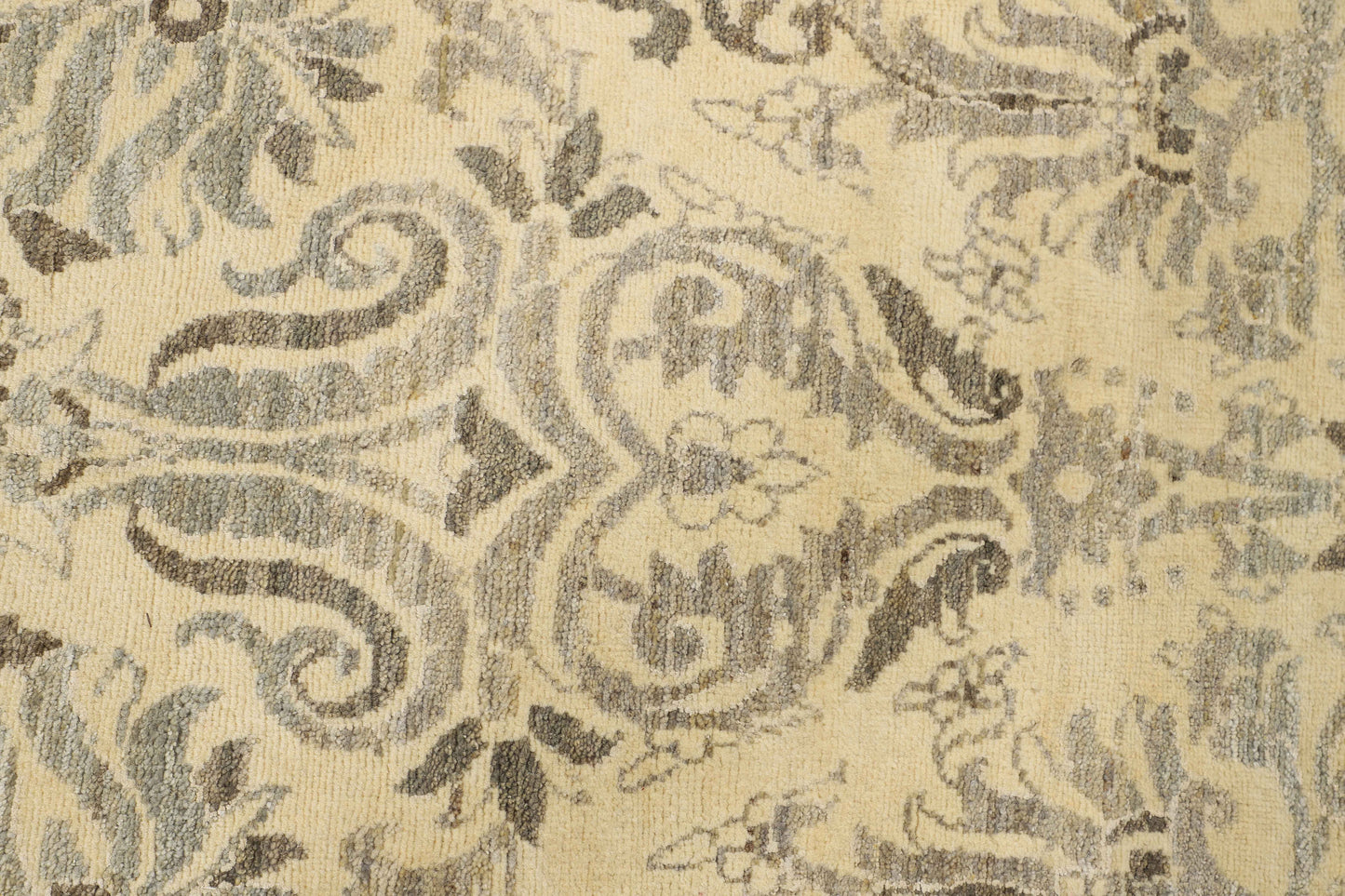 TRANSITIONAL-D52540