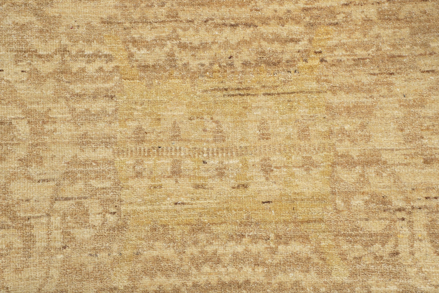 TRANSITIONAL-D48923