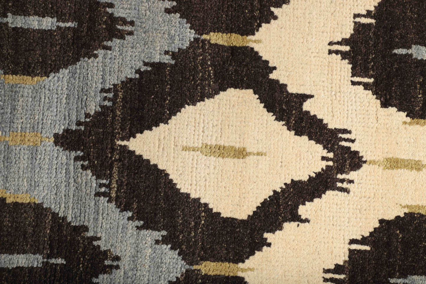 TRANSITIONAL-D41351
