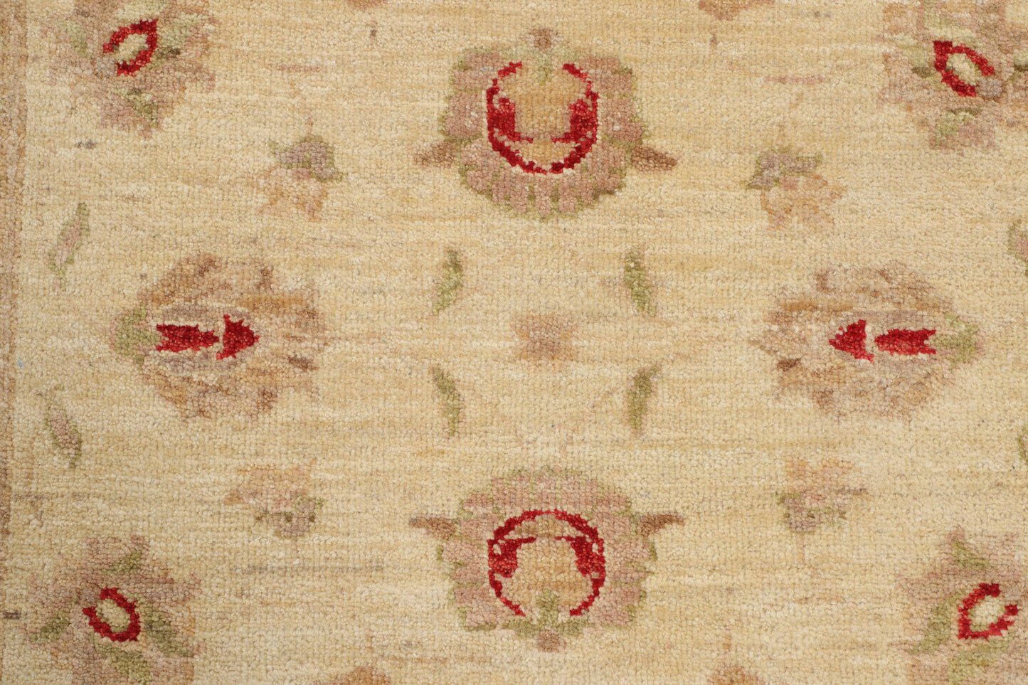 TRANSITIONAL-D43596