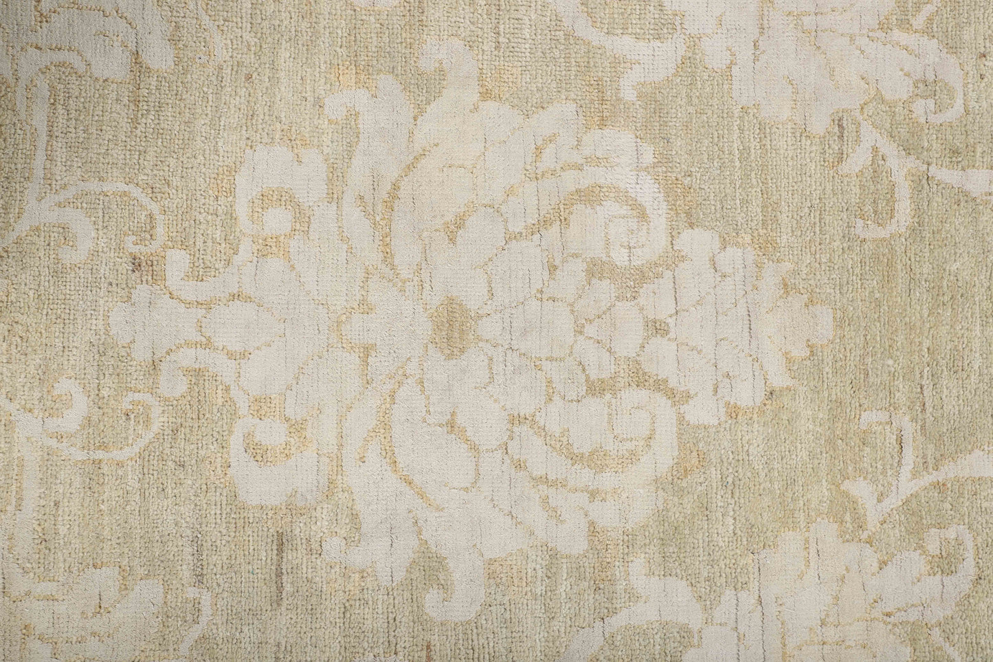 TRANSITIONAL-D52414