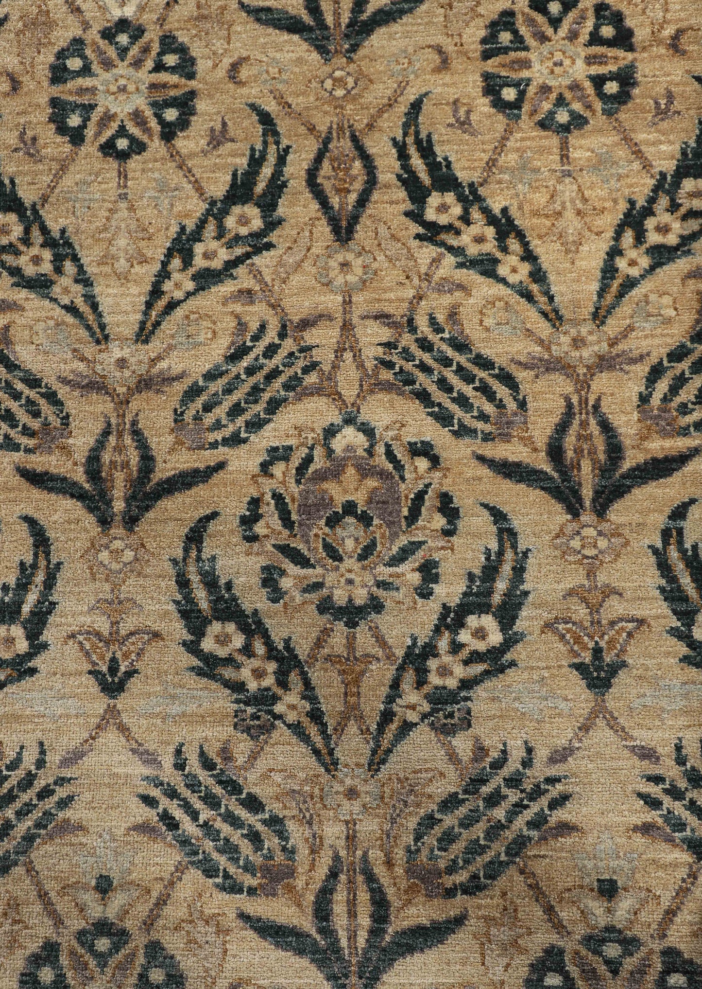 TRANSITIONAL-D56085